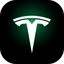 Tesla Energy icon