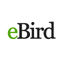 eBird icon