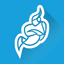 Jitsi icon